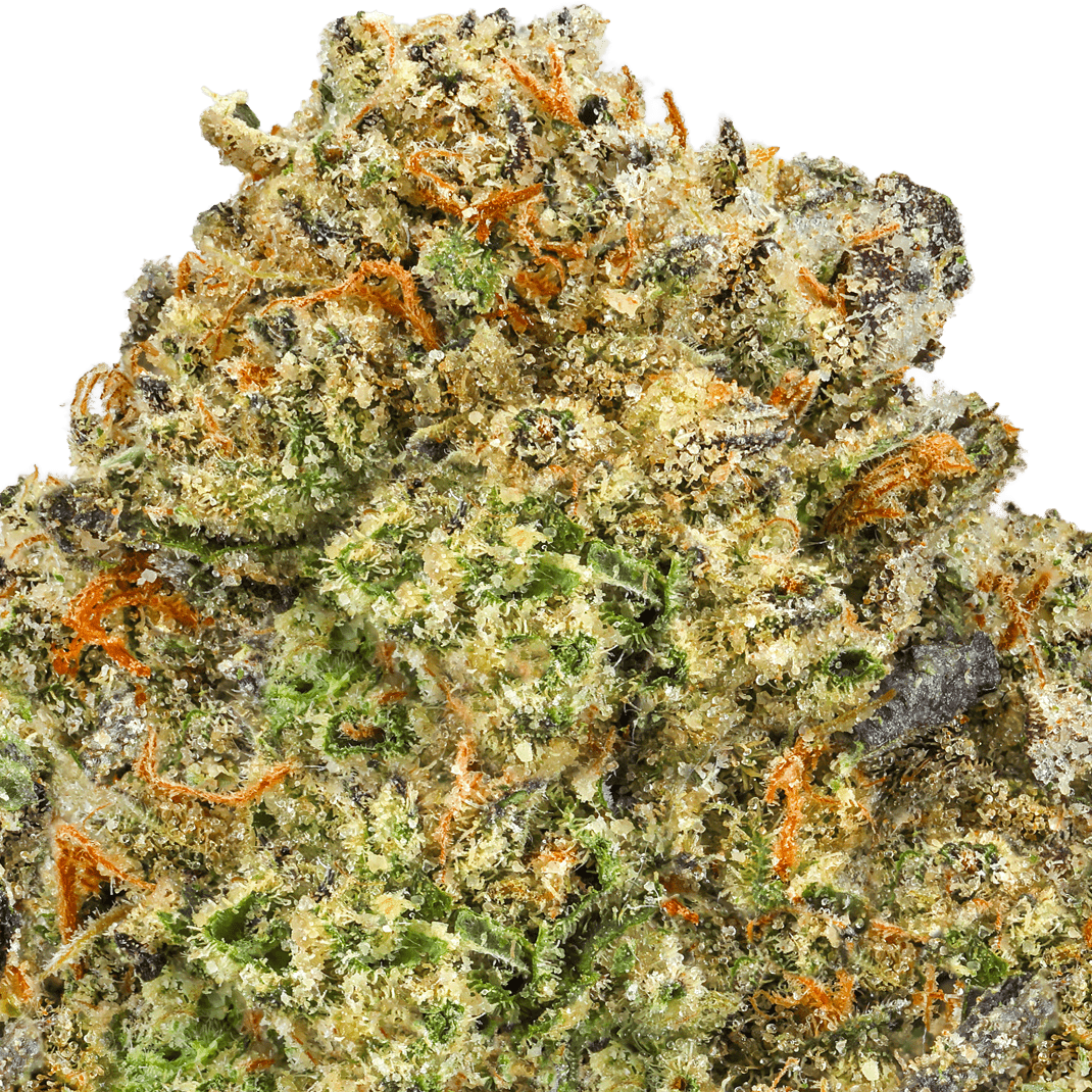 Gelato-41-Strain-Macro-min (3) Gelato 41 strain
