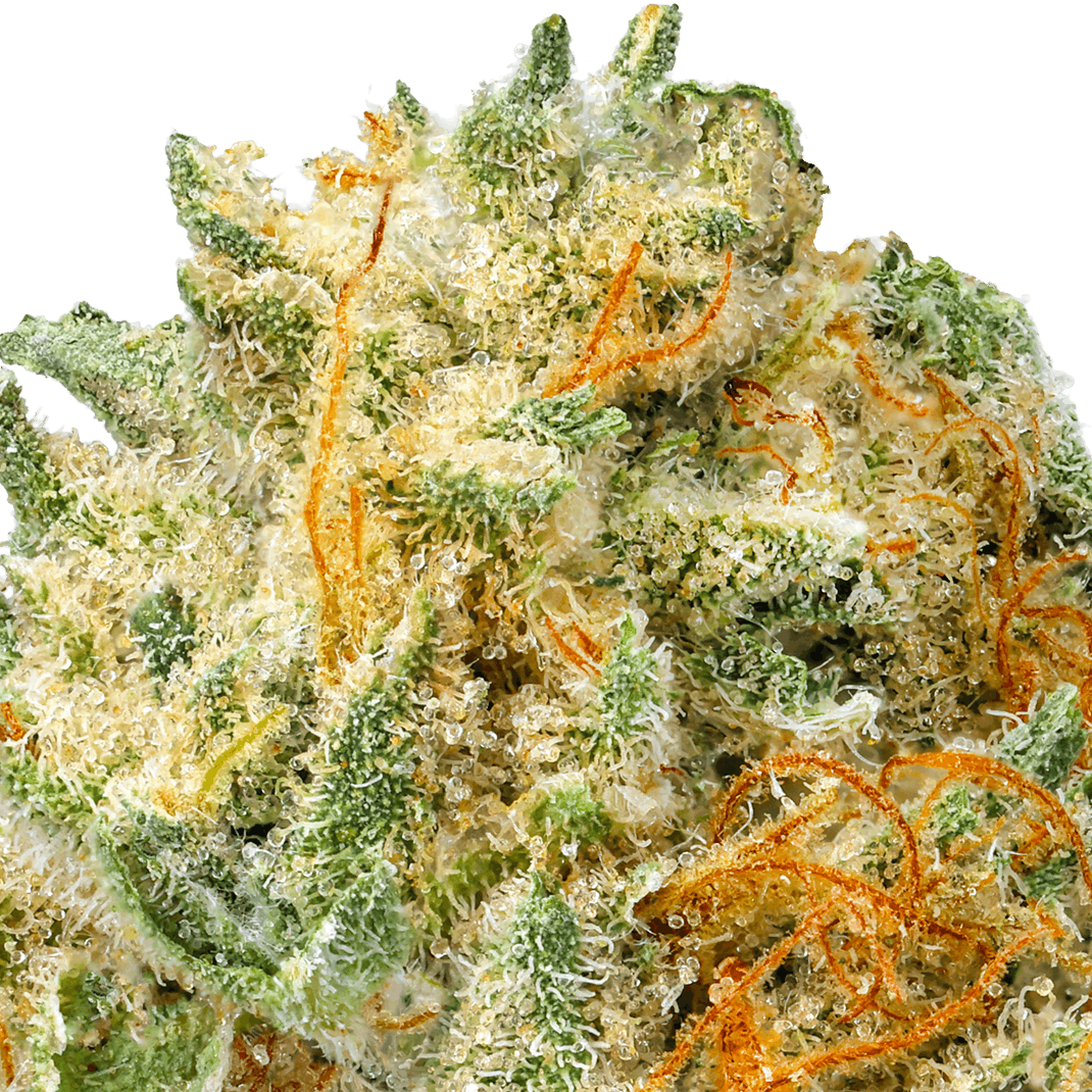 Gelato 41 Strain