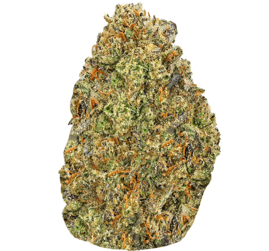 Gelato-41-Strain-min (3) Gelato 41 strain