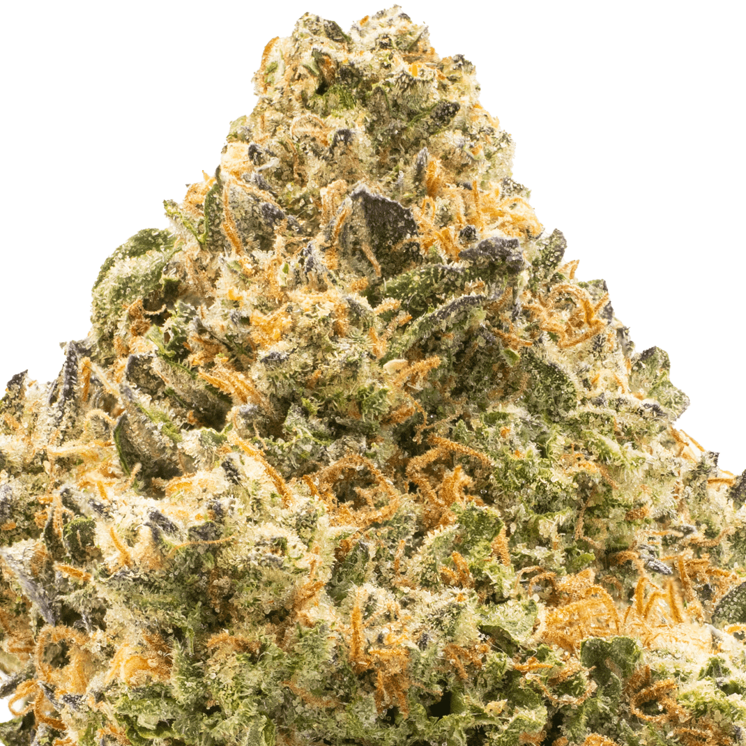 Platinum Kush THCA Flower Macro