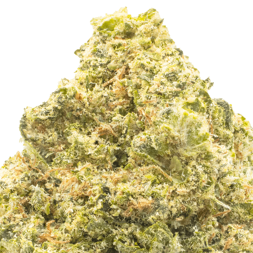 Key Lime Jack THCA Flower