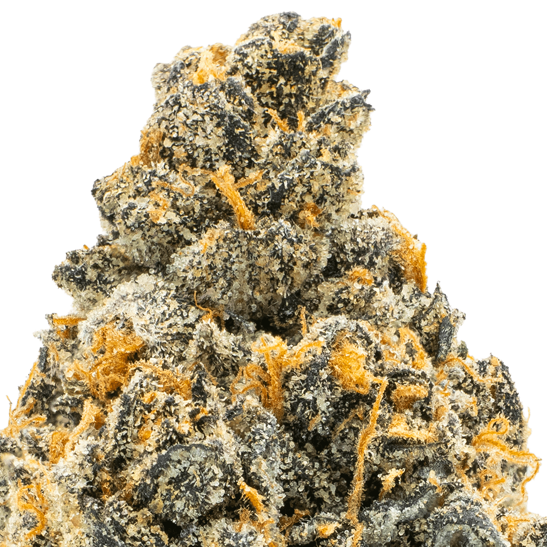ice-cream-pie-strain-macro-min (1) Ice Cream Pie THCA Flower