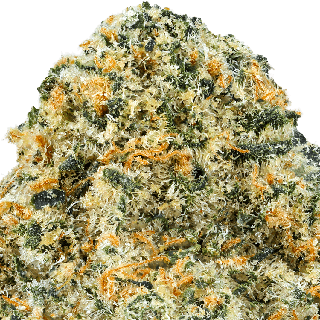 Grease-Monkey-Strain-Macro-min (2) Grease Monkey Strain