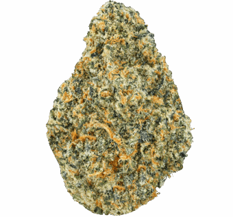 Grease Monkey Strain