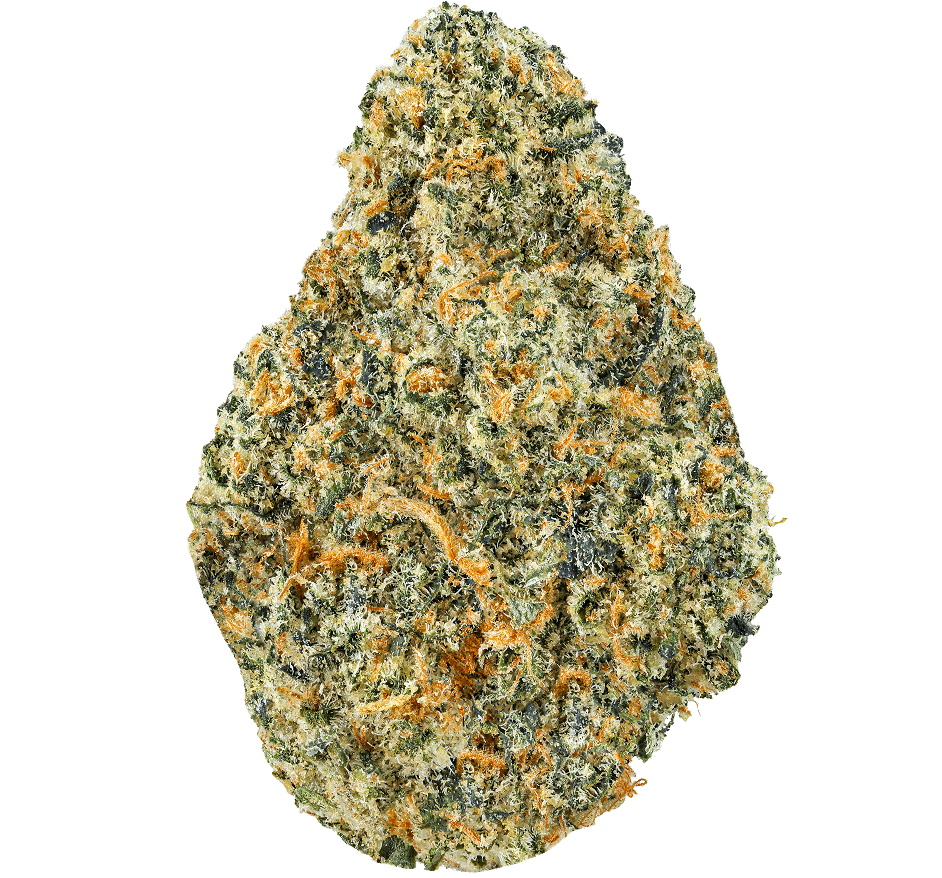 Grease-Monkey-Strain-min (2) Grease Monkey Strain