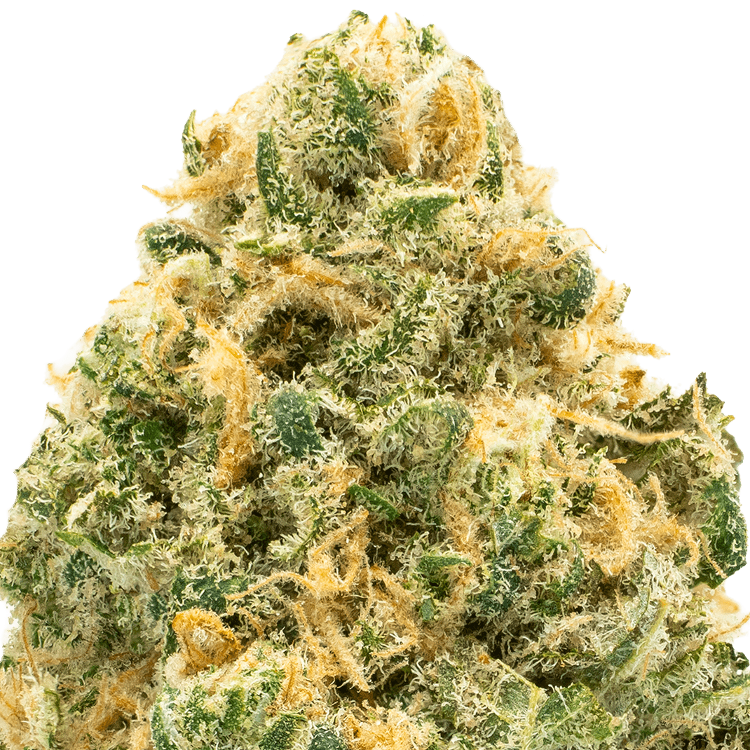 glitter-bomb-strain-macro-min (2) Glitter Bomb THCA Flower