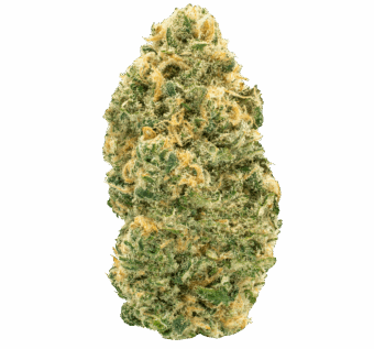 Glitter Bomb THCA Flower