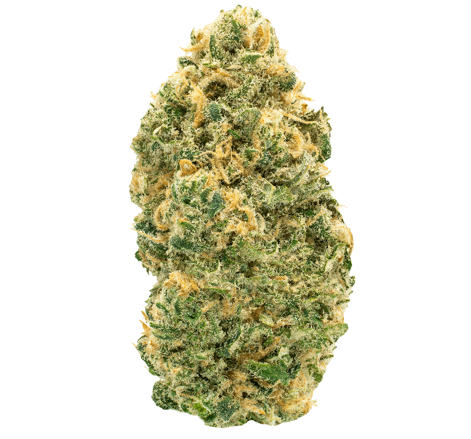 glitter-bomb-thca-flower-min (2) Glitter Bomb THCA Flower