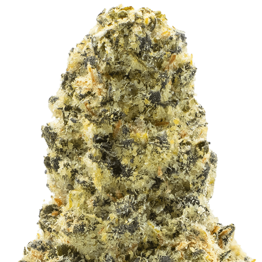 White Guava Strain