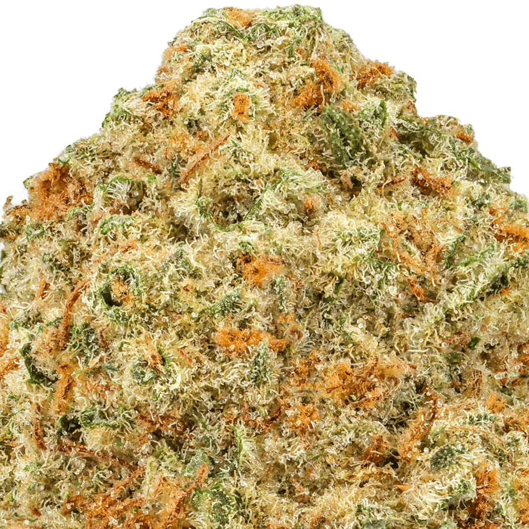 Blueberry Muffin Strain