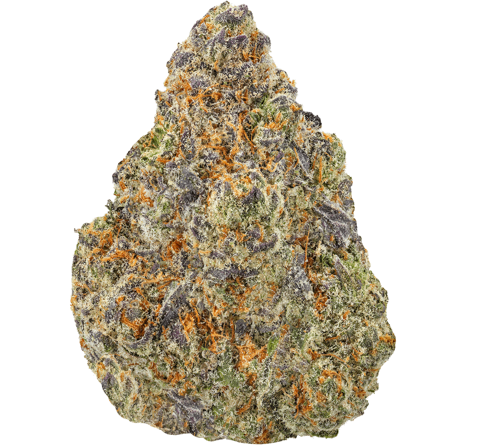 Double Lemon Gucci Strain