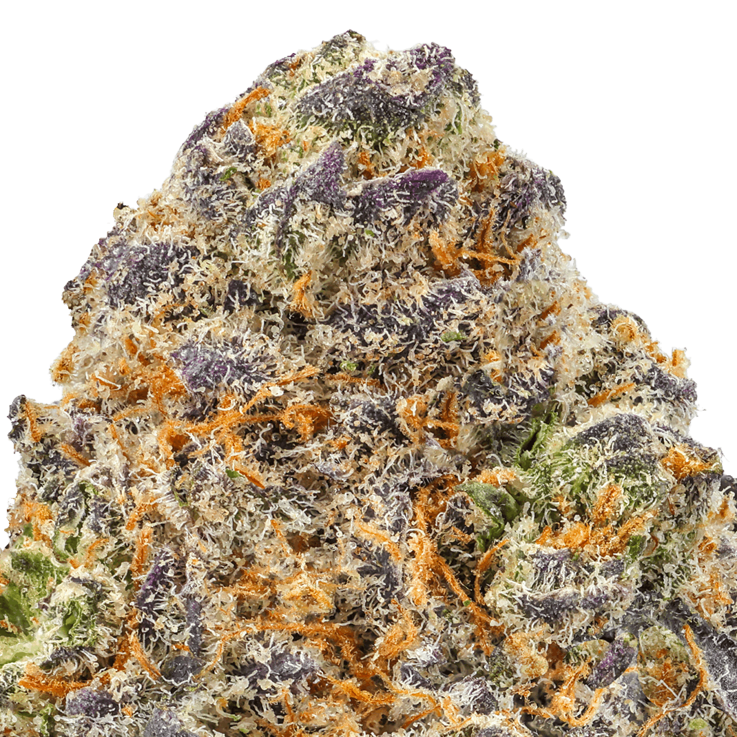 Double Lemon Gucci Strain