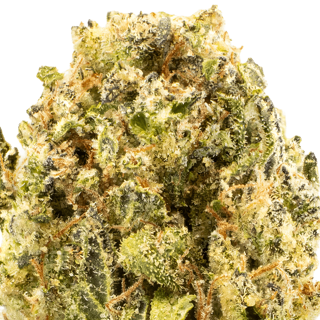 Garlic-Cookies-strain-macro-min Garlic Cookies Strain