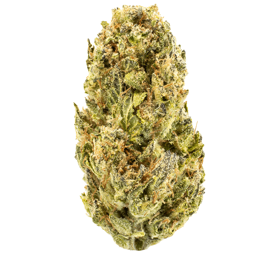 Garlic-Cookies-thca-flower-min Garlic Cookies Strain