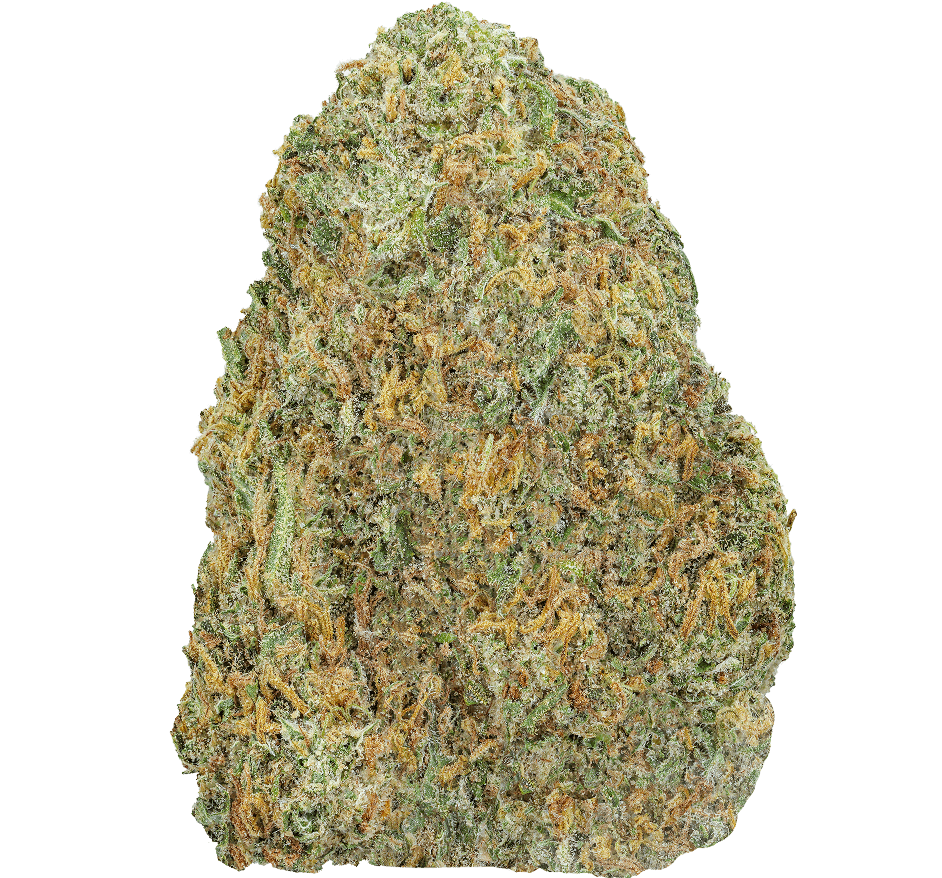 Glitter-Bomb-Strain Glitter Bomb Strain