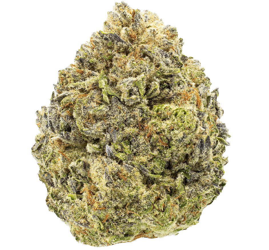 King-Gelato-thca-flower-min King Gelato Strain