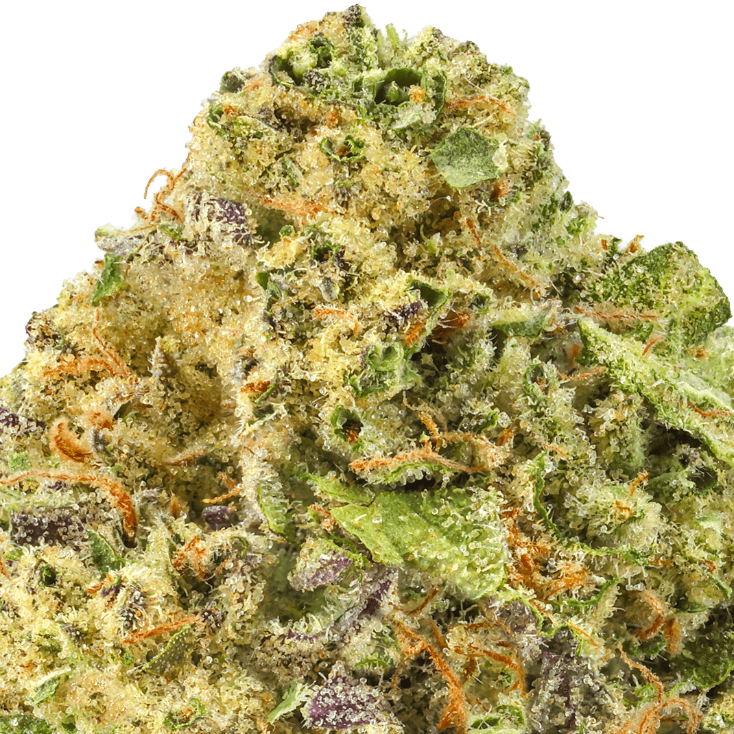 Lemon-Cherry-Gelato-Strain-Macro-min-1 Lemon Cherry Gelato Strain