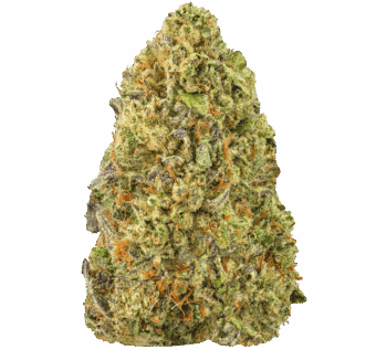 Lemon-Cherry-Gelato-Strain-min-1 Lemon Cherry Gelato Strain