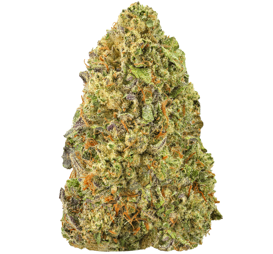 Lemon-Cherry-Gelato-Strain-min-1 Lemon Cherry Gelato Strain
