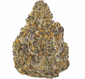 Pina-Colada-Strain-min Pina Colada Strain
