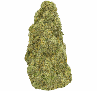 Slaps-Strain Slapz Strain