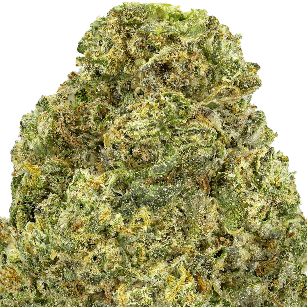 Slaps-Strain-Macro Slapz Strain