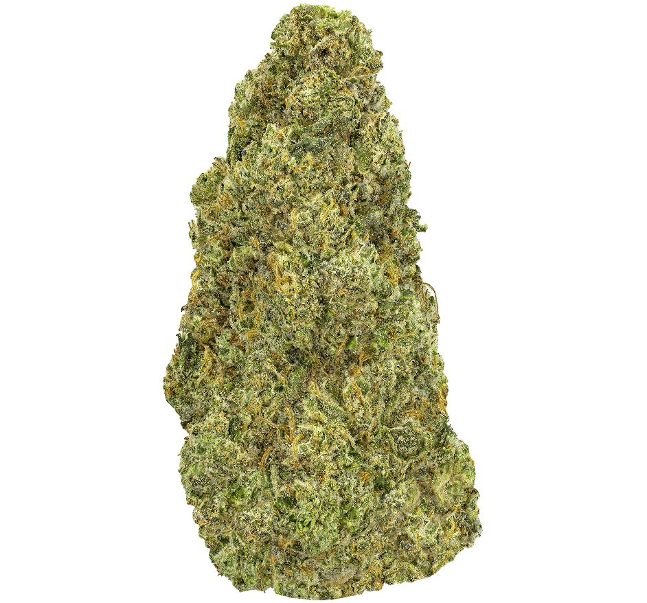 Slaps-Strain Slapz Strain