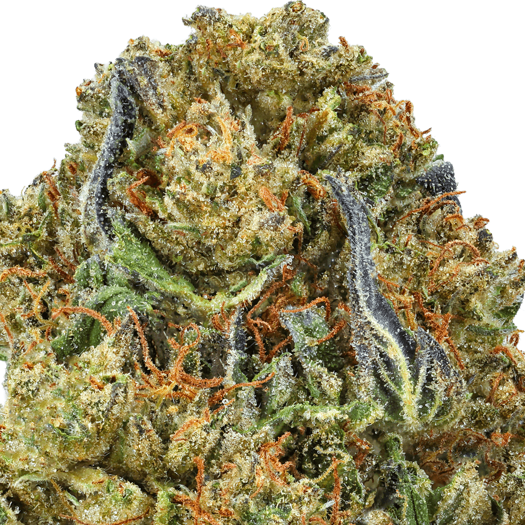 Blueberry Zkittlez Strain