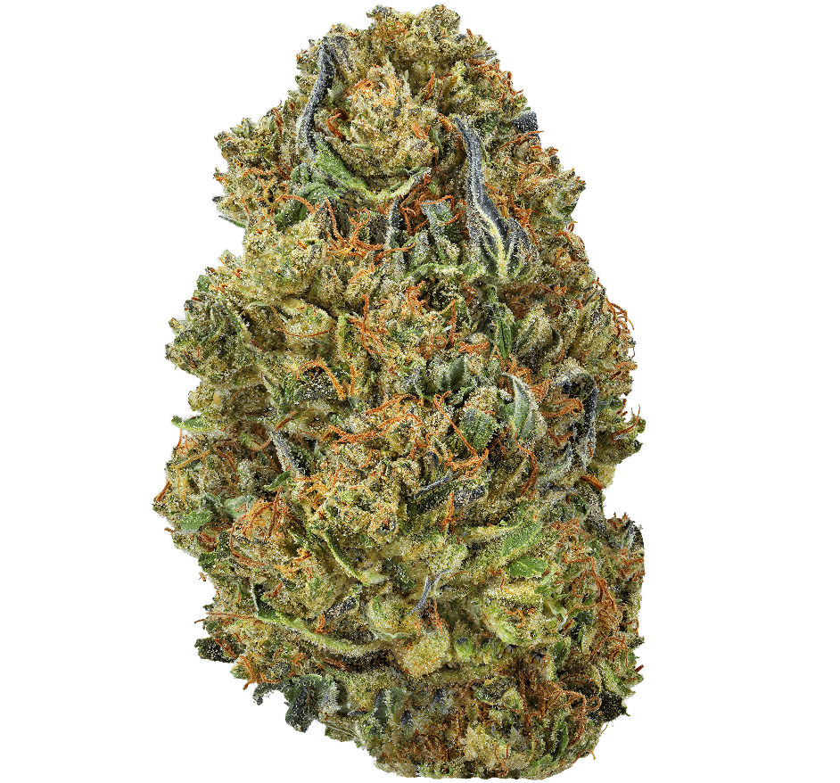 Blueberry Zkittlez Strain