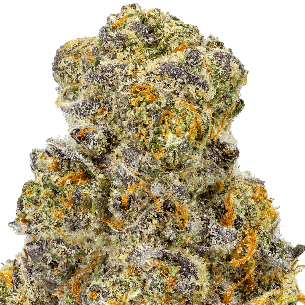 Italian-Soda-Strain-macro Italian Soda Strain