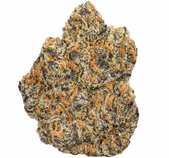 24K Gold Strain