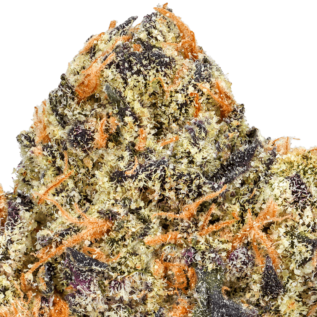 24K Gold Strain