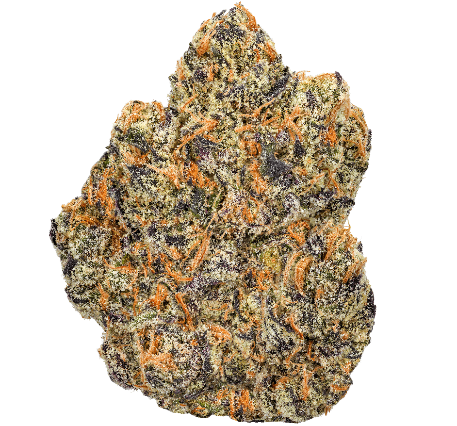 24K Gold Strain