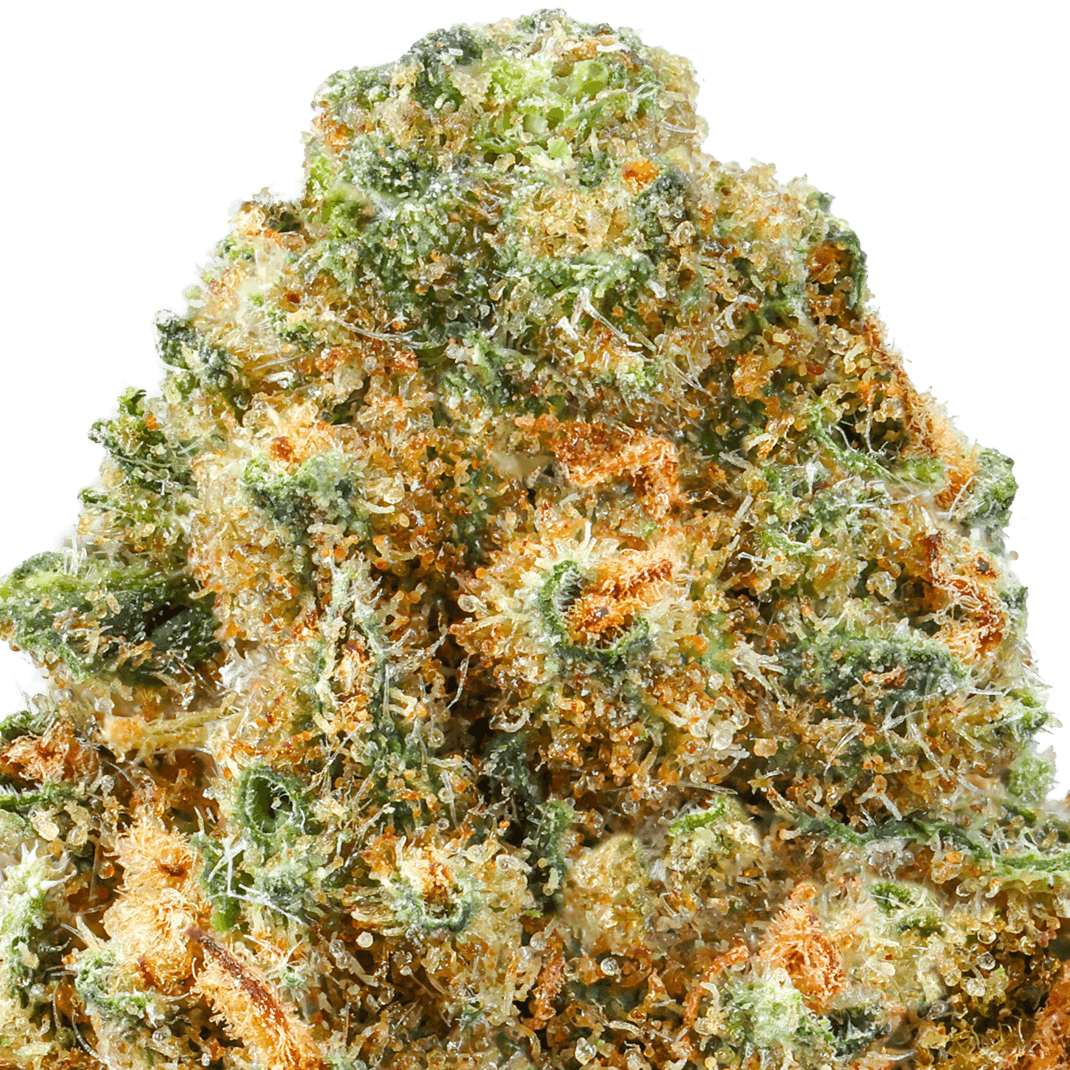 Bangerine Strain