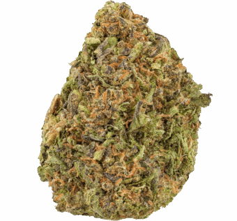 Blue Cookies Strain