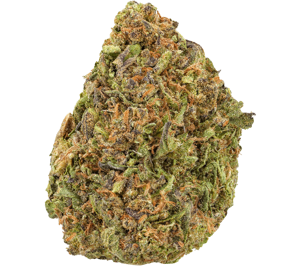 Blue Cookies Strain