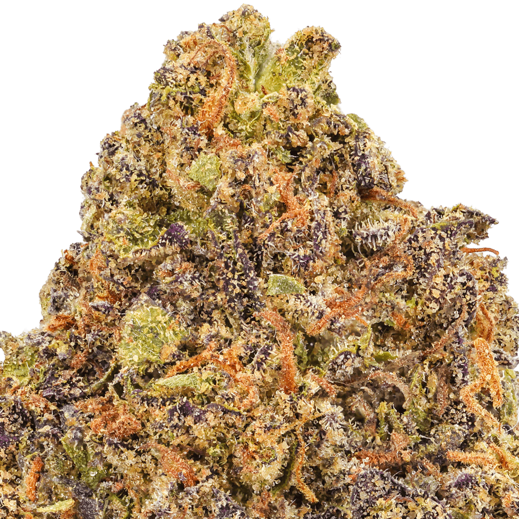 Blue Cookies Strain
