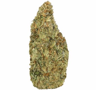 Gelato 41 THCA Flower