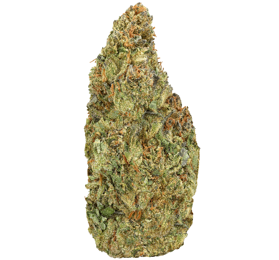 Gelato 41 THCA Flower