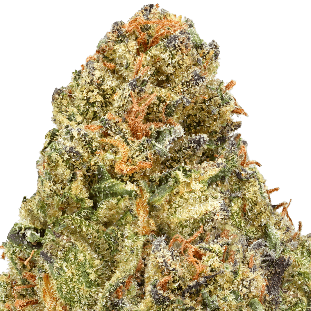 Gelato 41 THCA Flower