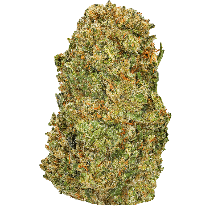 Ice Cream Cookies Strain