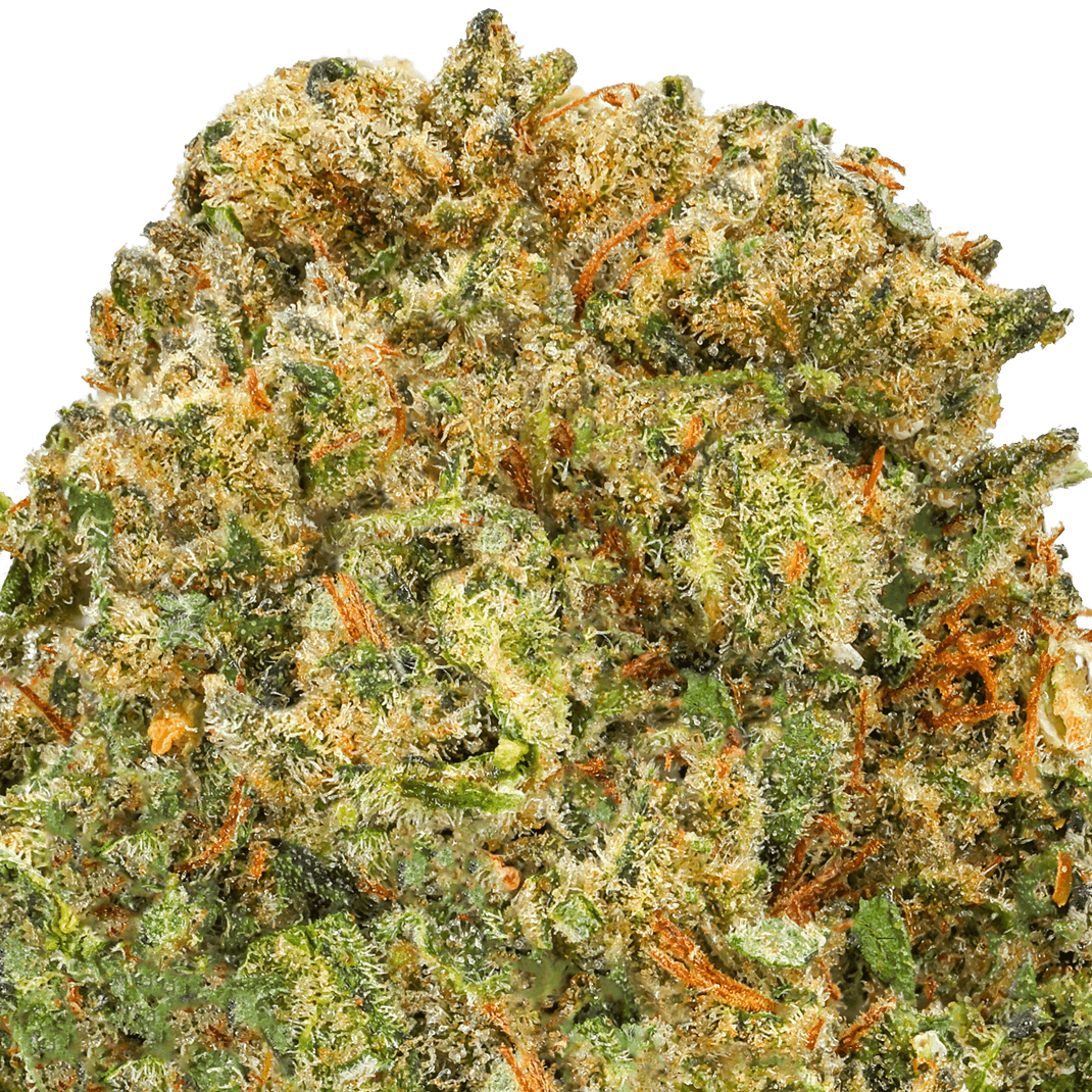 Ice Cream Cookies Strain