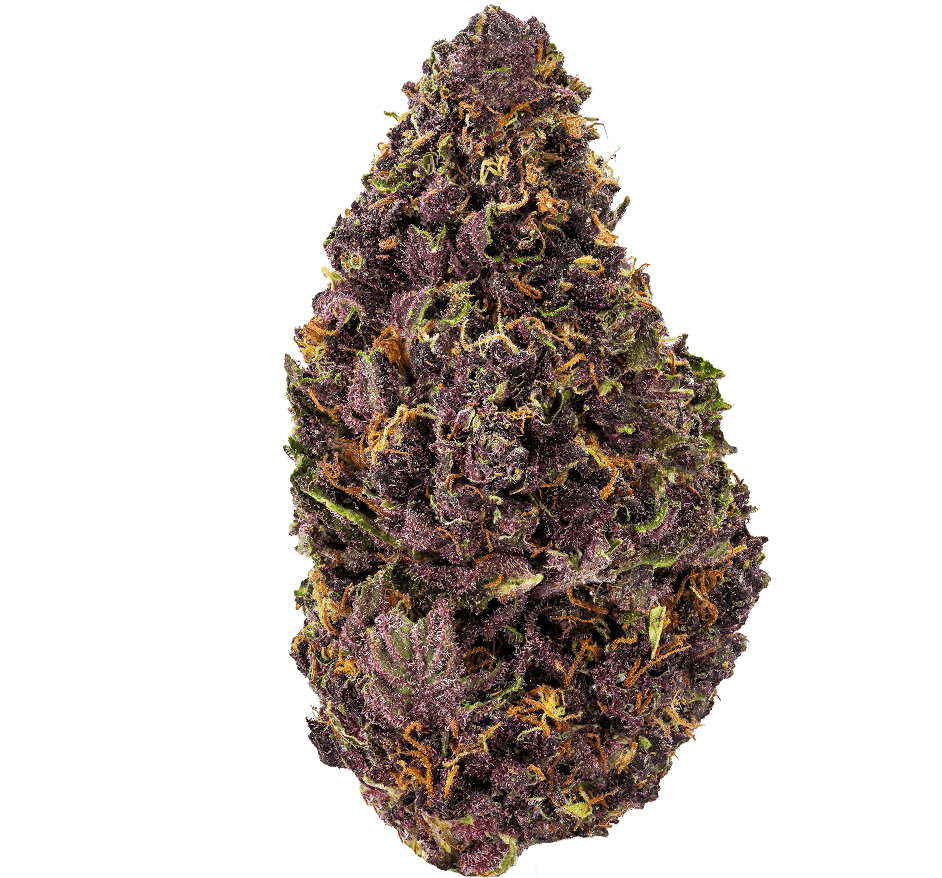 Tropical Cookies Strain